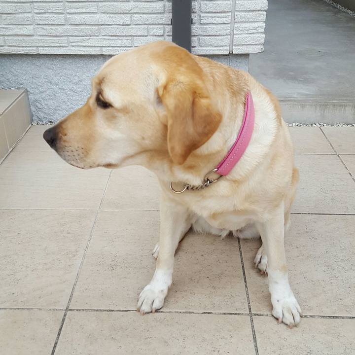 Ce7ab81c 02b3 4946 996c e337ebc0ad85