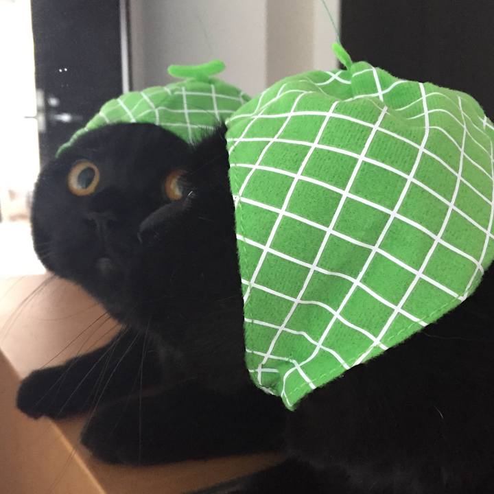 Ce7afc54 faec 480d 9026 29cbb4c6e1a1