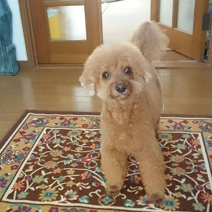 Ce7b1eff 8693 43d0 ab01 020aa7ed3c2a