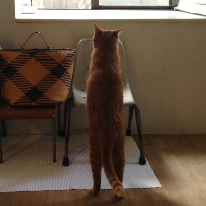 Ce7b5960 4b35 49f8 bffb d7847d108aa7