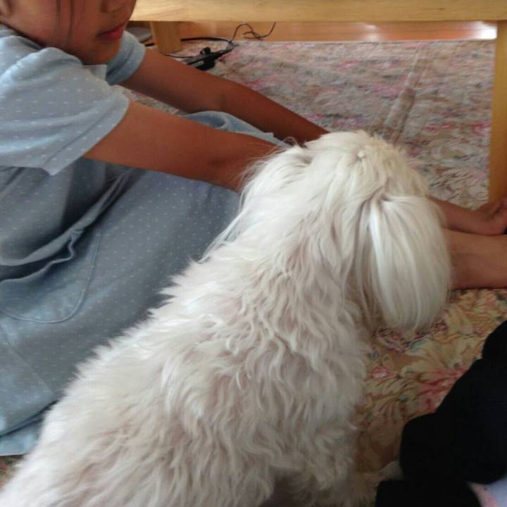 Ce7b8f01 968a 48f5 9c30 c65b82bec056