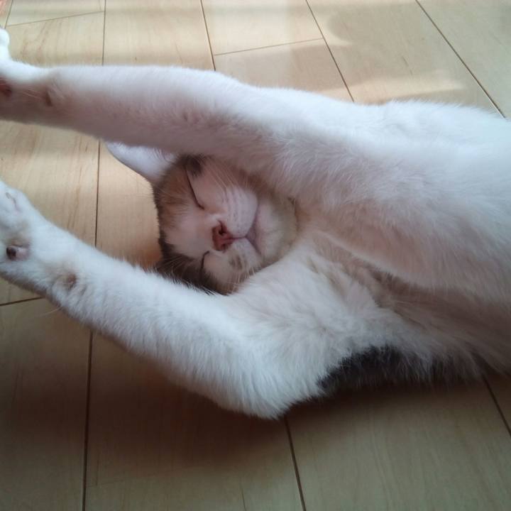 Ce7caf54 d50e 4d95 857a 2ea17d9bae77