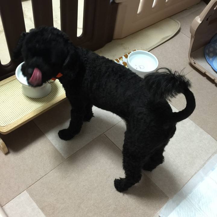 Ce7e12c7 36fb 4c71 a514 5d47fe38b4ac