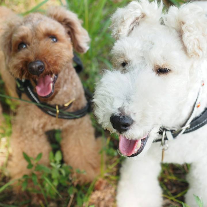 Ce7e38b3 61aa 4103 bdf2 f239de67dafd