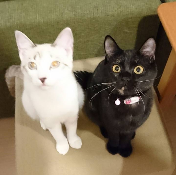 Ce7e4fe1 7072 4744 a482 b4b097a153e7