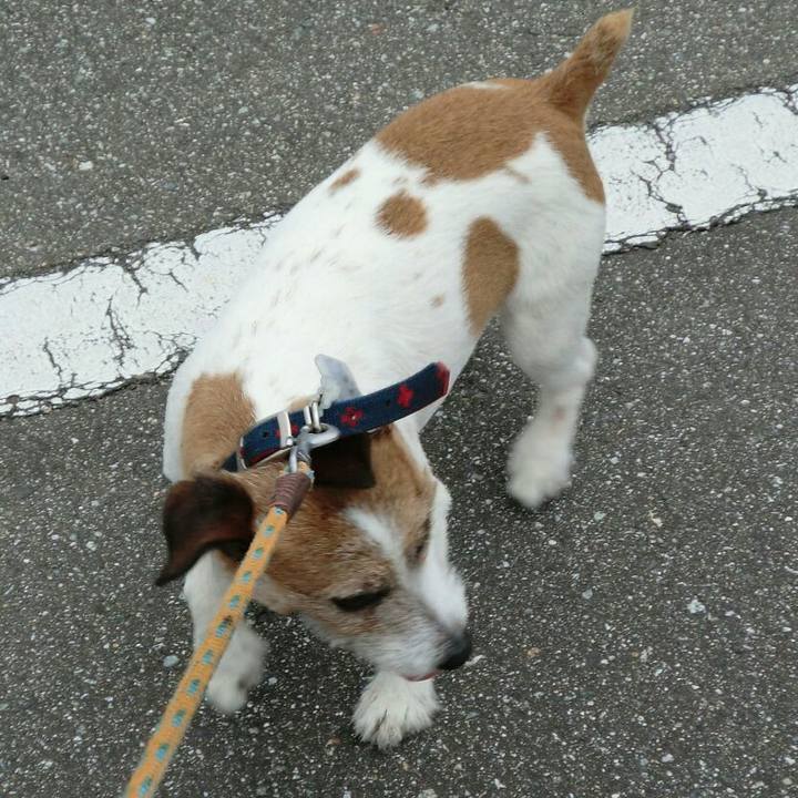 Ce7ea19b 56b3 487a 9e39 f8b05f238052