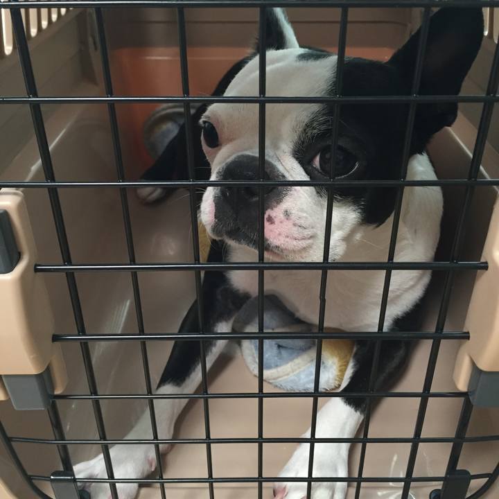 Ce7f20e5 8cfa 4353 a020 d944c3c20f49