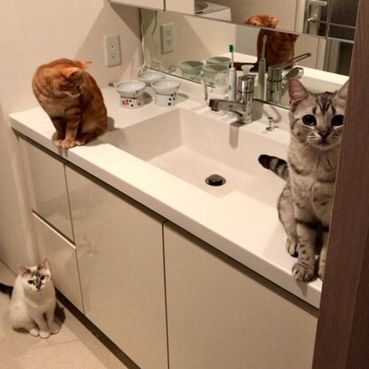 Ce7f4a67 58fd 4f0d a30e 37bb7b7ff9e7