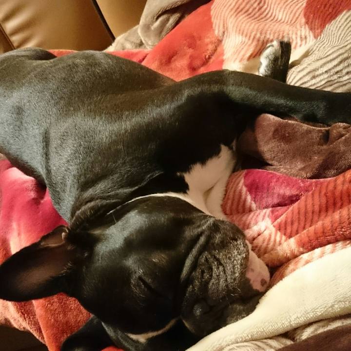 Ce7fd8bf f51b 4655 bb14 3c1b37421791