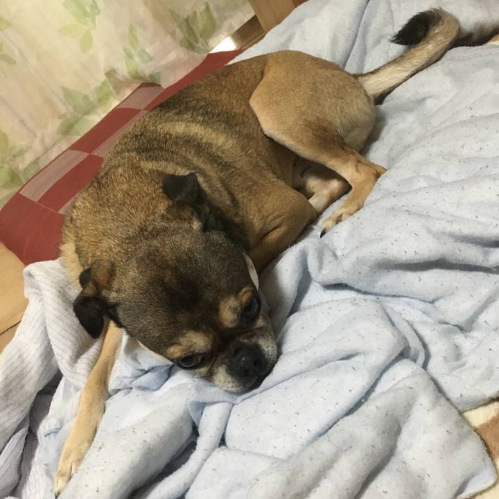 Ce801fc3 7500 4c7c bf23 27e3ea747eff