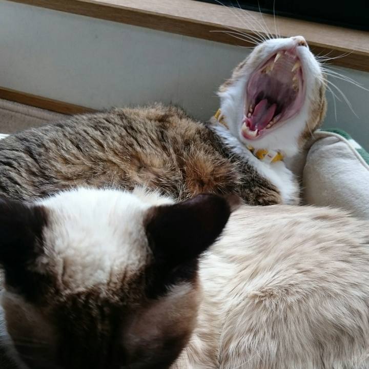 Ce812f46 ba7b 48b3 8e9f 4e9ba7a28210