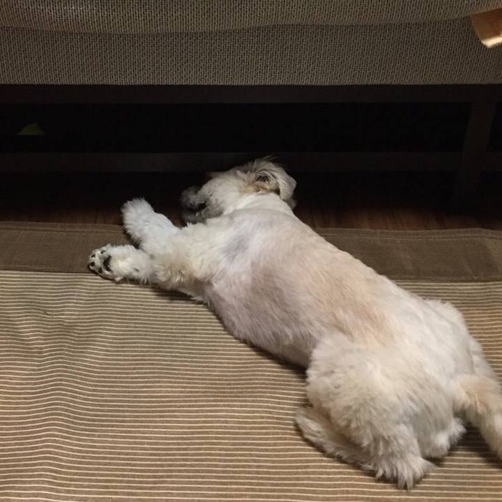 Ce81a620 e21a 4285 a30f 4aca0ee2c3cc