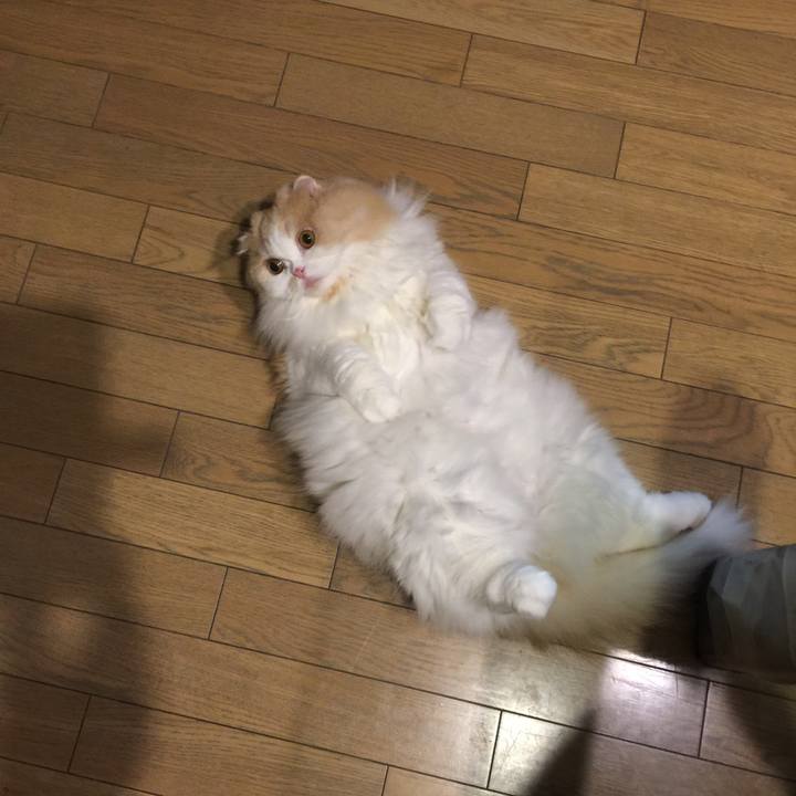 Ce824d59 70e2 4786 9a29 26aa22f2b2e5