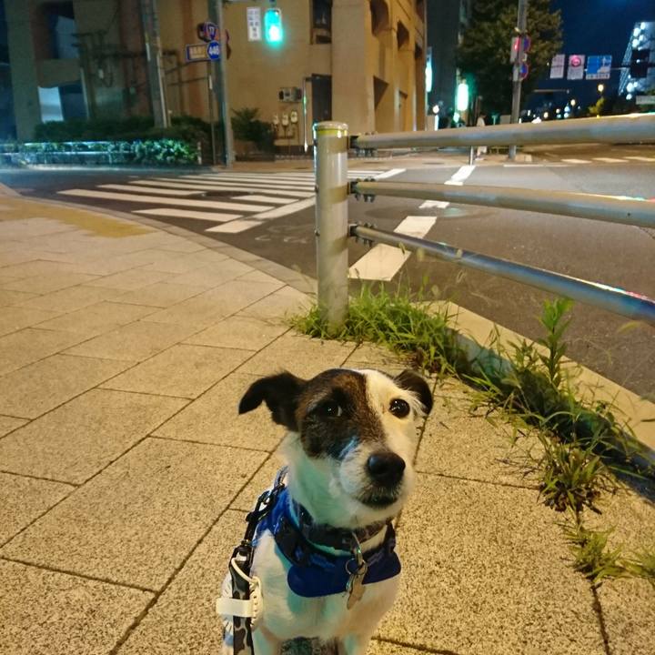 Ce836658 198e 4799 a7d1 ff472d2cf0a7