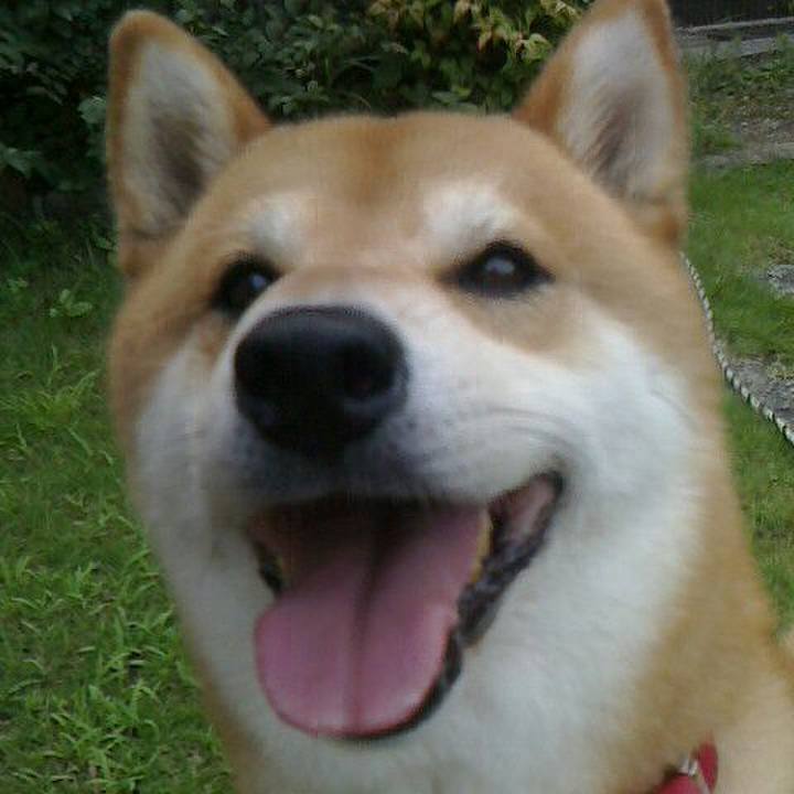 Ce84b670 05eb 4d87 a4ad c76ce77656d7