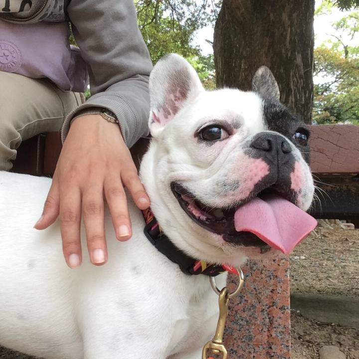 Ce853032 5be4 4ea8 9a65 e6ac70e97d38