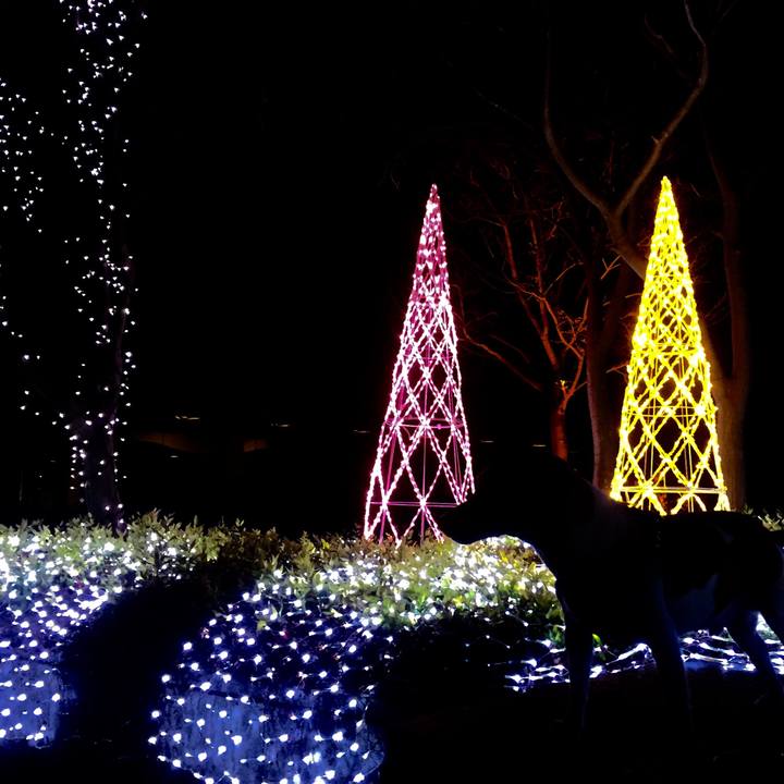 Ce8652de 8adc 47d3 b0ae 5cb2b9ad2c5f