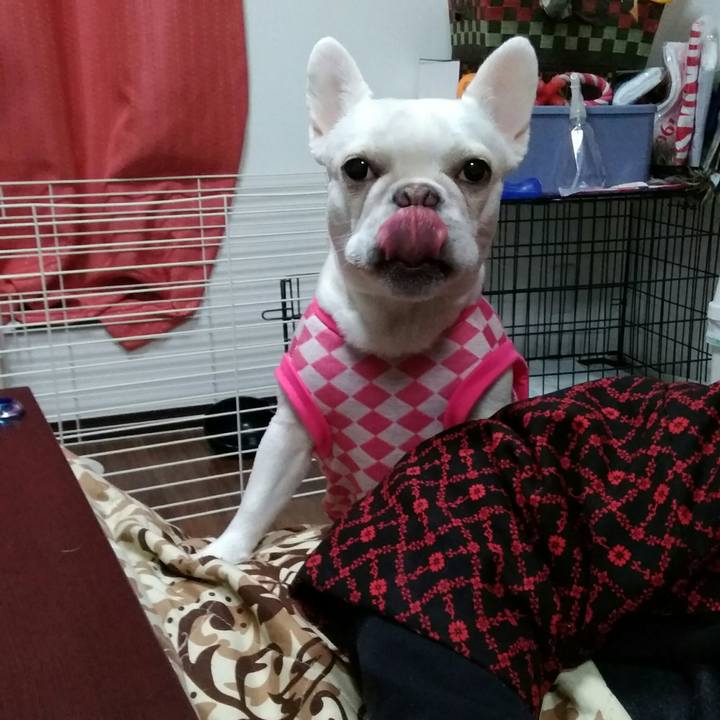 Ce86f4c2 fc7d 4189 bf20 02f6db7f743a