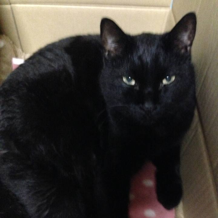 Ce870dc4 7b88 4d2a b233 b44f980a9415