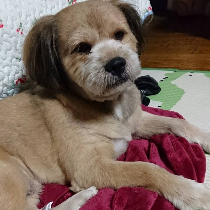 Ce876391 1dc5 4222 9550 549d959d4c0a