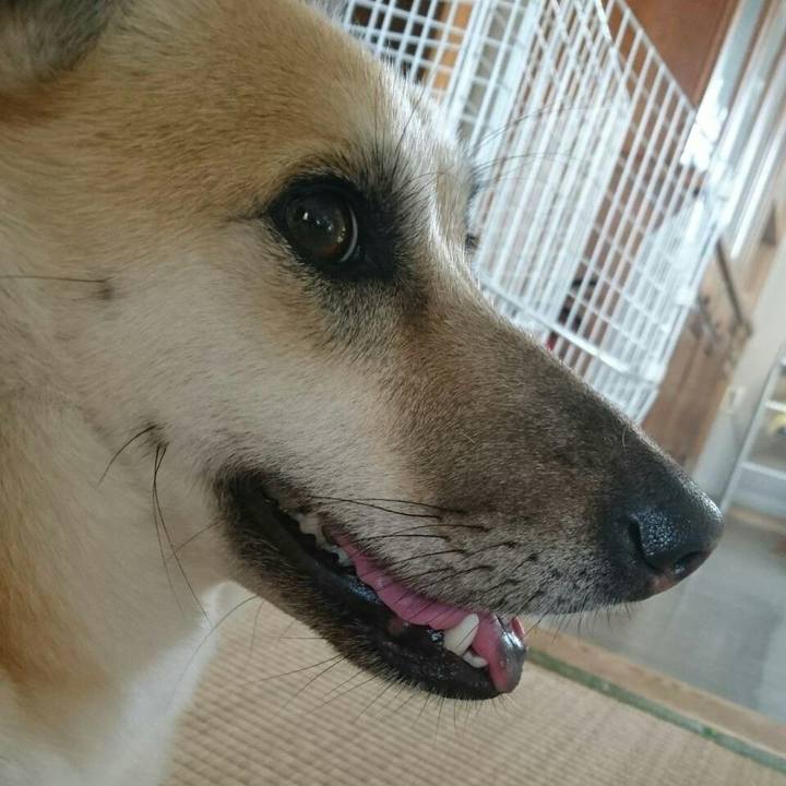 Ce877407 ea07 4620 8f36 fbd70c900e60