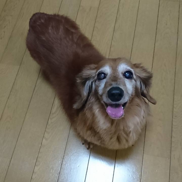 Ce883146 9eb8 48dd a549 c67c15d0b3a8