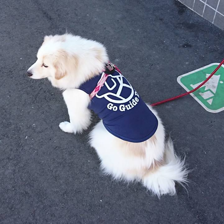 Ce88409f dc28 48c8 9ac6 dd53dde50254