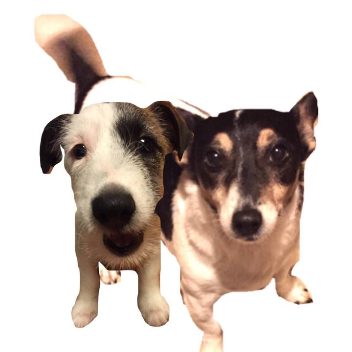 Ce8925ad 72a8 497a 85f0 afa3082a07b8