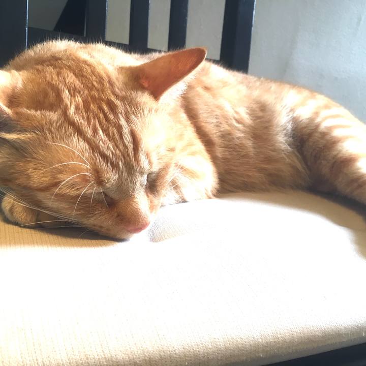 Ce894fb0 7705 4988 ac0d 44ffe48afaf8