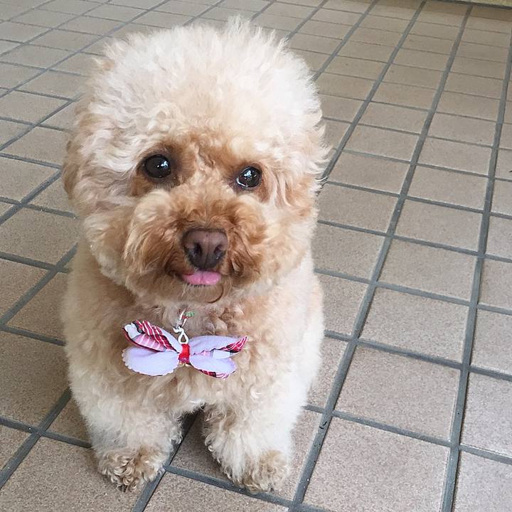 Ce89678f 3497 48e0 91b2 8f24c4fc666e