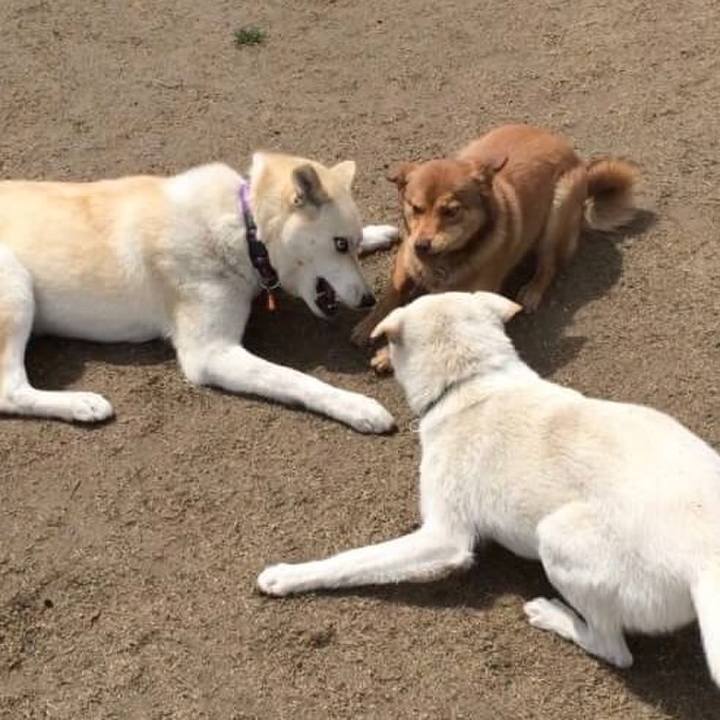 Ce8a0b0e 0e86 40d0 8fb0 01b19f8f133c