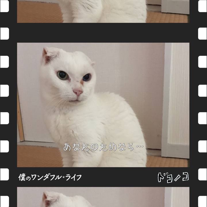 Ce8a900b 8d59 4b5d 8bca 49bd0740b236