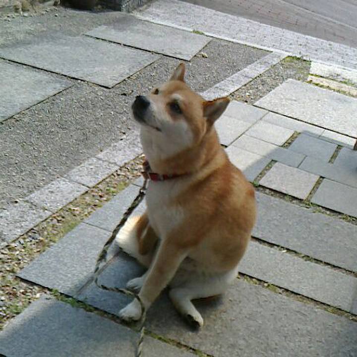 Ce8a984b c68e 4dc3 b065 b5861fcb50b2