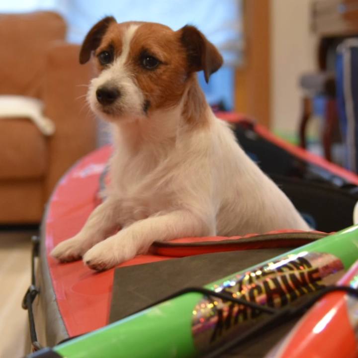 Ce8b1317 05cc 4fac 8860 254d3d308e84