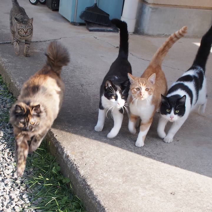 Ce8b4534 36d1 4ae0 9f95 cad62475c122