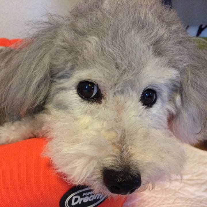 Ce8b4d18 7139 446f b61a cde985cb4587