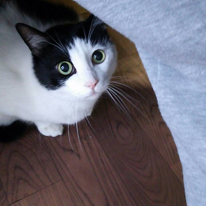 Ce8c0194 11ff 45c2 a576 5f320f3a8080