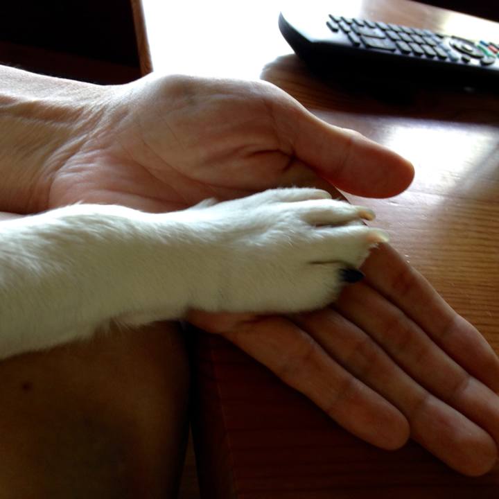 Ce8c930d 0f47 4c81 8b1f 4633381fa001