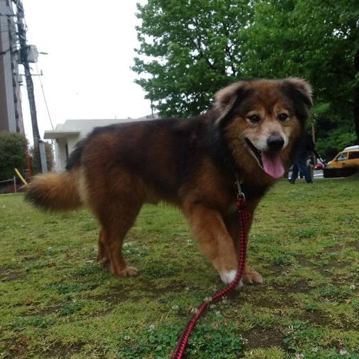 Ce8cc779 bf88 4c7a a427 f5c74e246ab4