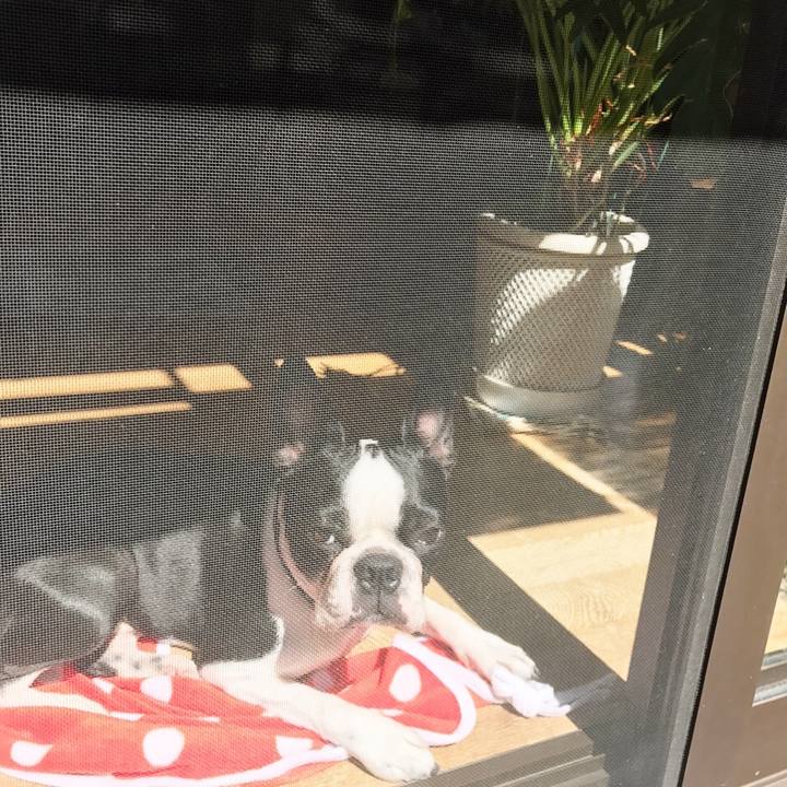 Ce8d0259 9144 49c0 920a 52ac6a58760e