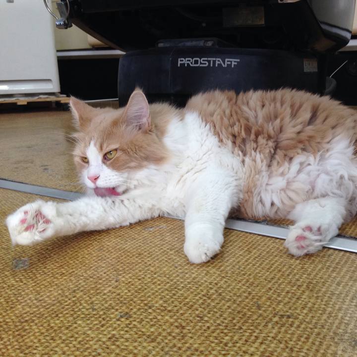 Ce8d8aef de5f 41d0 aa95 de442b908fe3