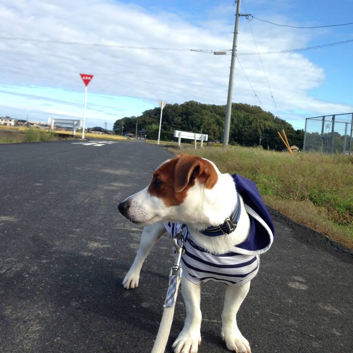 Ce8ed2c3 72f1 454e 97a4 4fb2b0d9d3c3