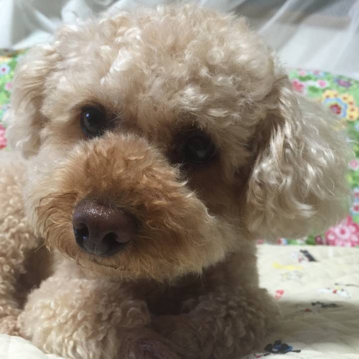 Ce904590 d8cd 4c5f 9315 e84cb26eb227