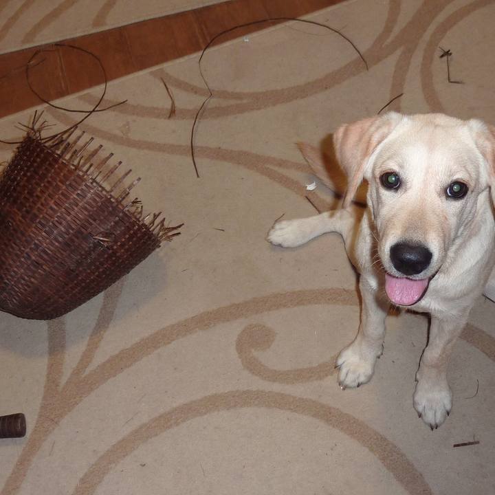 Ce91d84f 25cd 474a 912b 02e4be125a0f