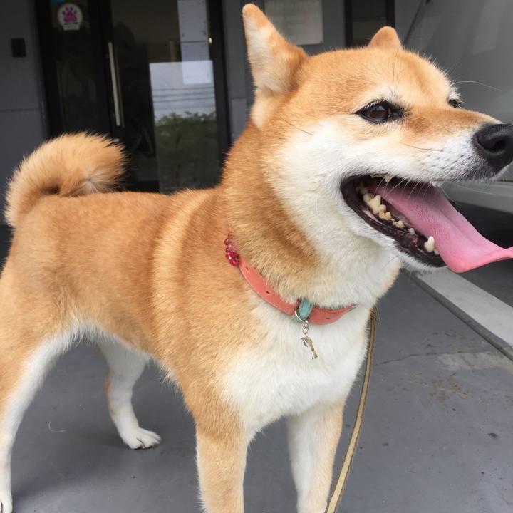 Ce941ea4 961f 4c00 ac24 457e046bf6e2