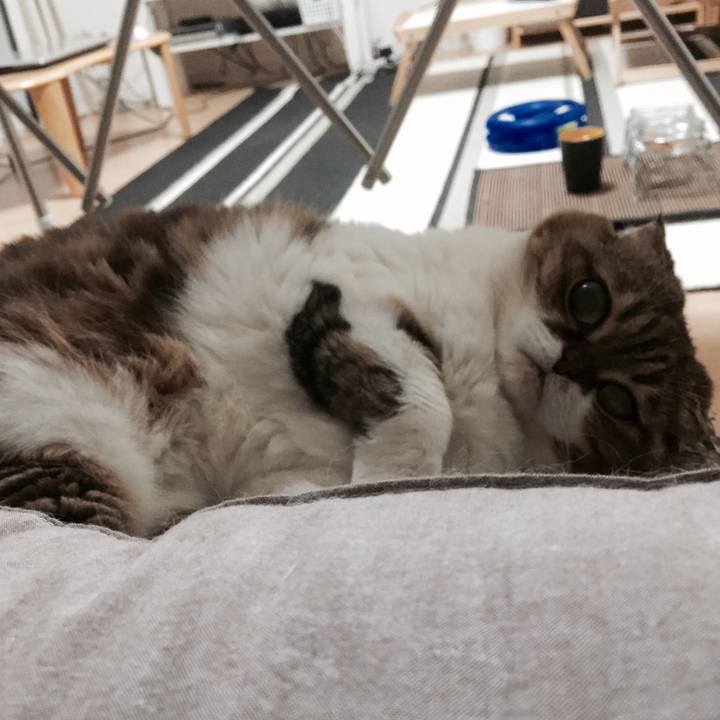 Ce9422ec 1ec4 45d2 acf1 2f3f7791326c