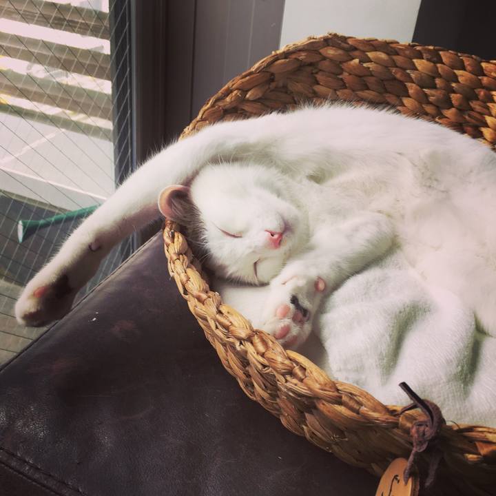 Ce942393 dea9 44b7 93d5 fc9117698693