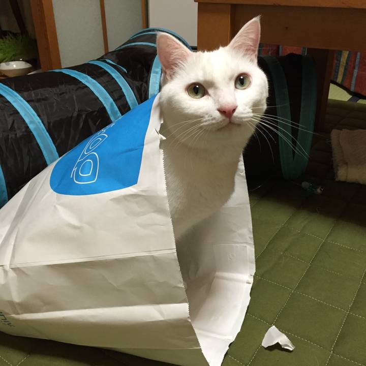 Ce944fb8 558e 4e33 9fd8 e3fe867e96f4