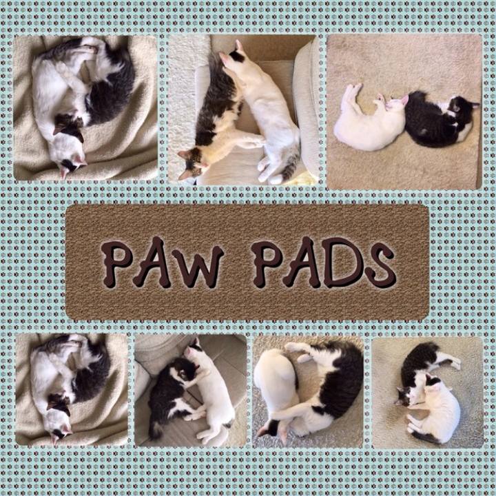 Ce946def e4cb 4a20 b461 74f07925da65