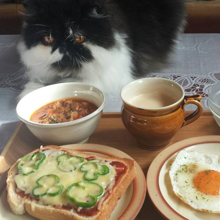 Ce94d92e 1be6 4561 9130 8b94fc99bc50